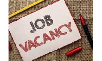 Job Vacancies